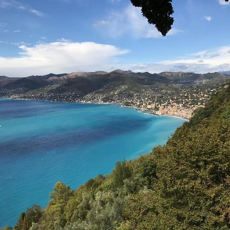 Villa Cielomare Camogli Exteriér fotografie