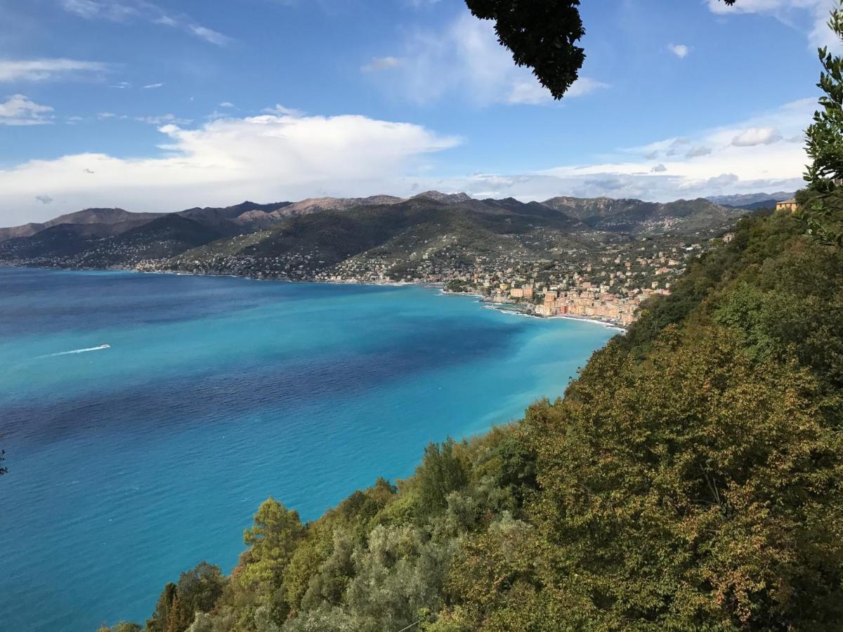 Villa Cielomare Camogli Exteriér fotografie