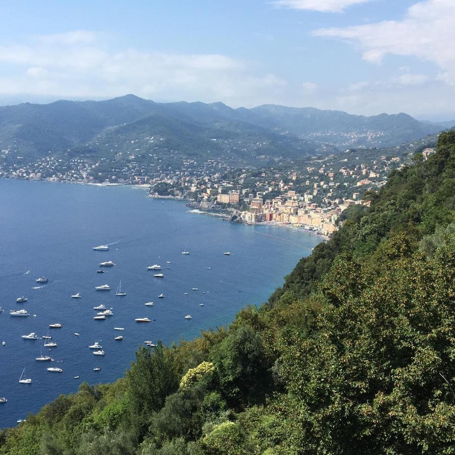 Villa Cielomare Camogli Exteriér fotografie