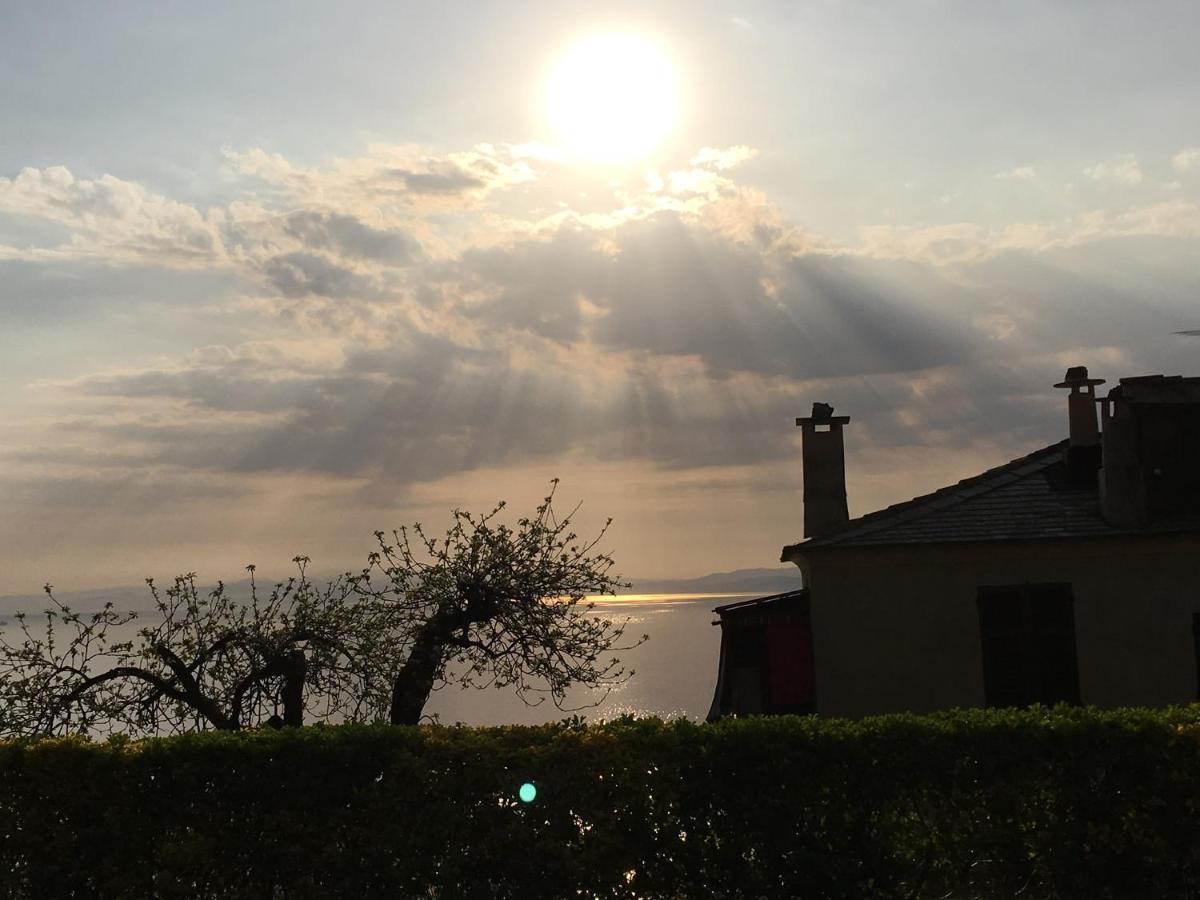 Villa Cielomare Camogli Exteriér fotografie