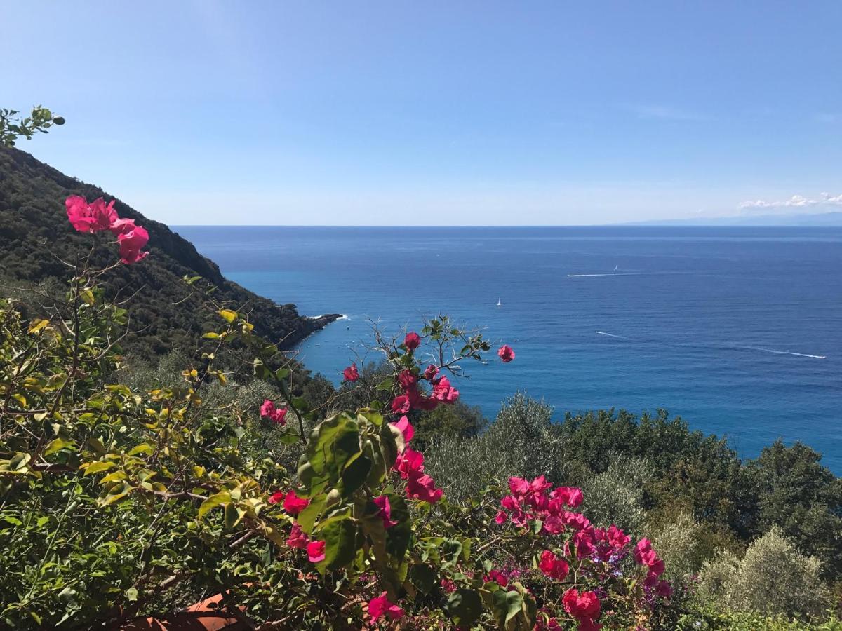 Villa Cielomare Camogli Exteriér fotografie