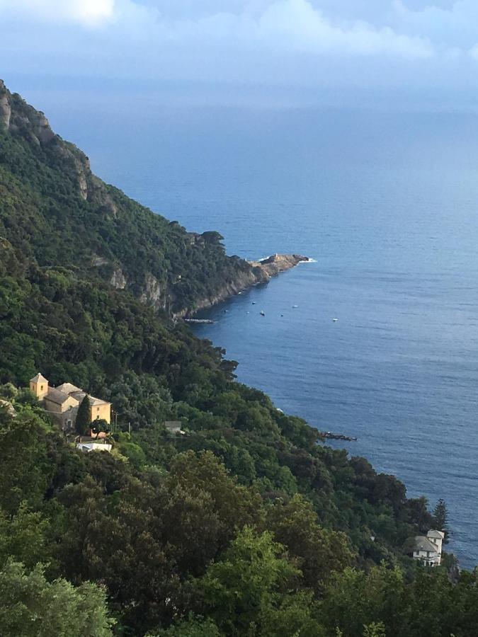 Villa Cielomare Camogli Exteriér fotografie