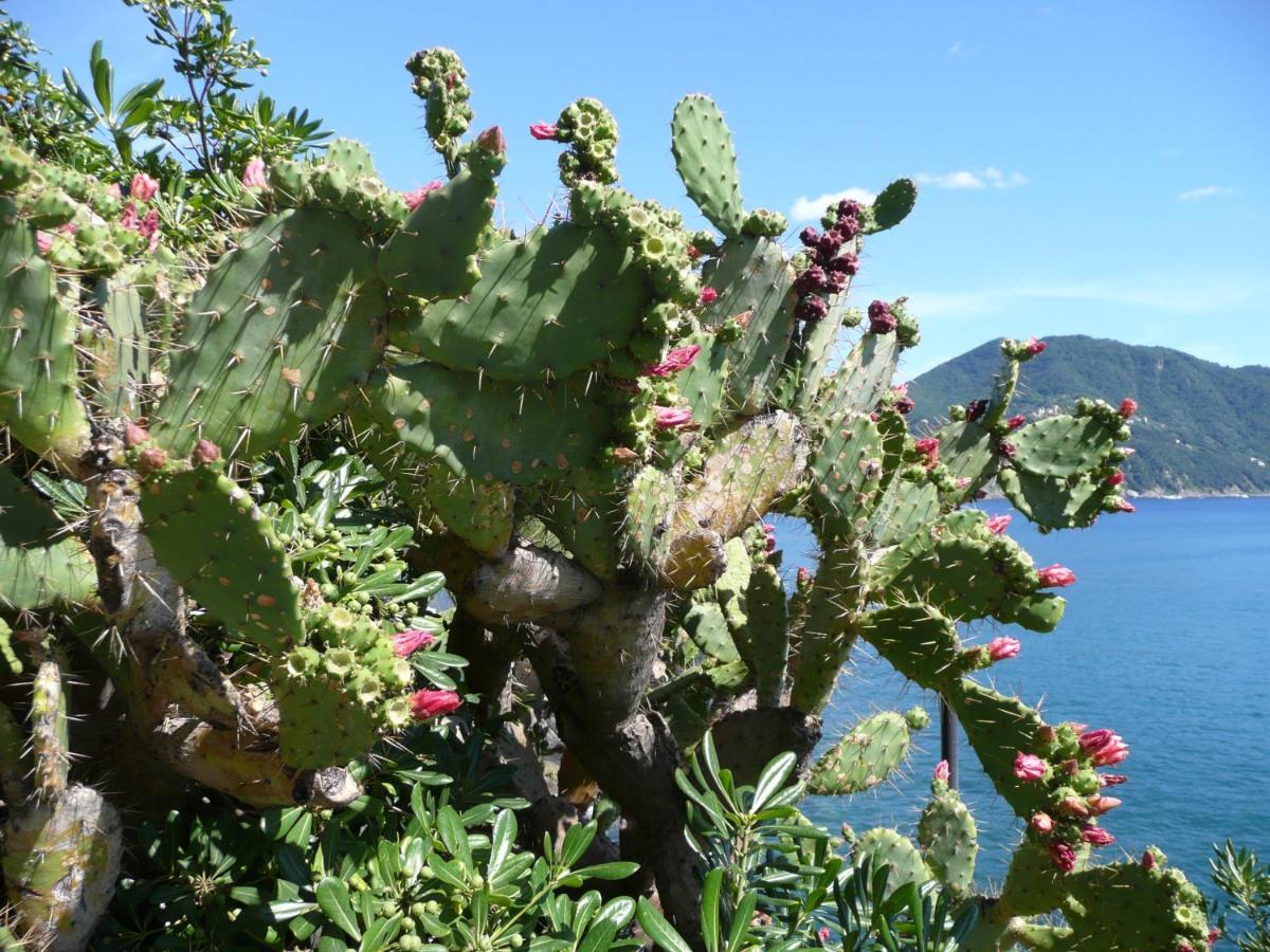 Villa Cielomare Camogli Exteriér fotografie