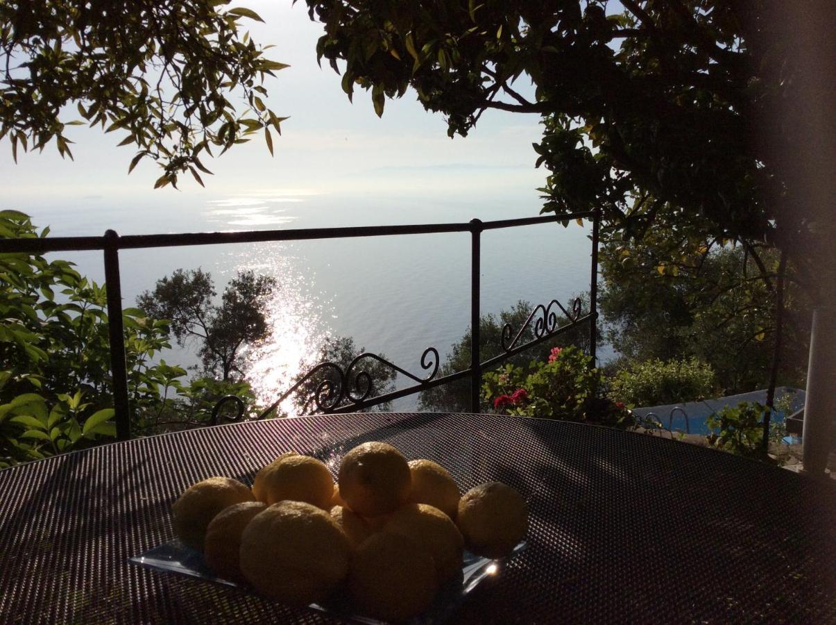 Villa Cielomare Camogli Exteriér fotografie