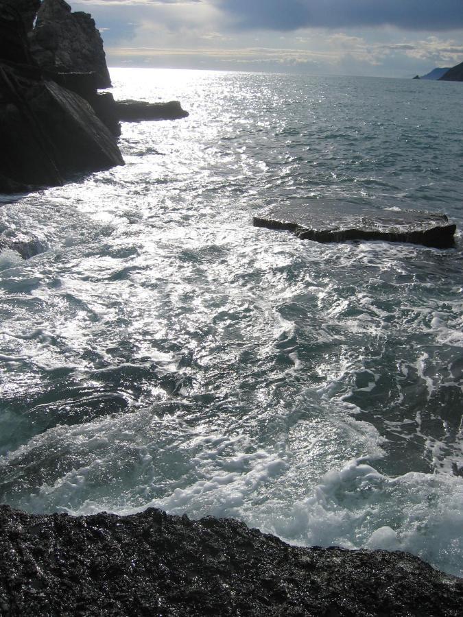 Villa Cielomare Camogli Exteriér fotografie