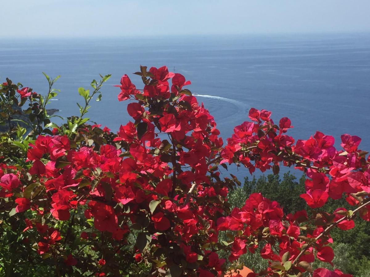 Villa Cielomare Camogli Exteriér fotografie