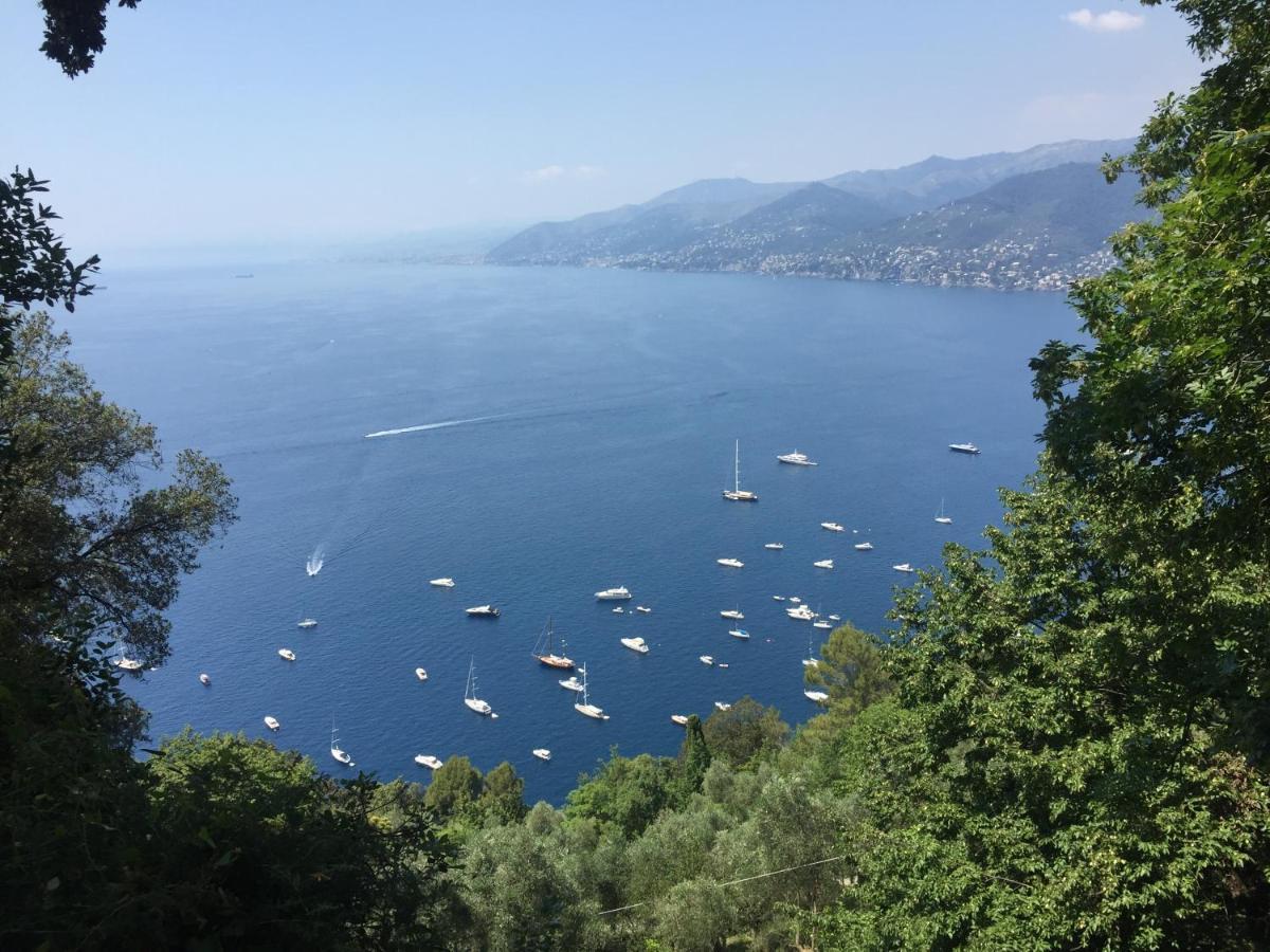 Villa Cielomare Camogli Exteriér fotografie