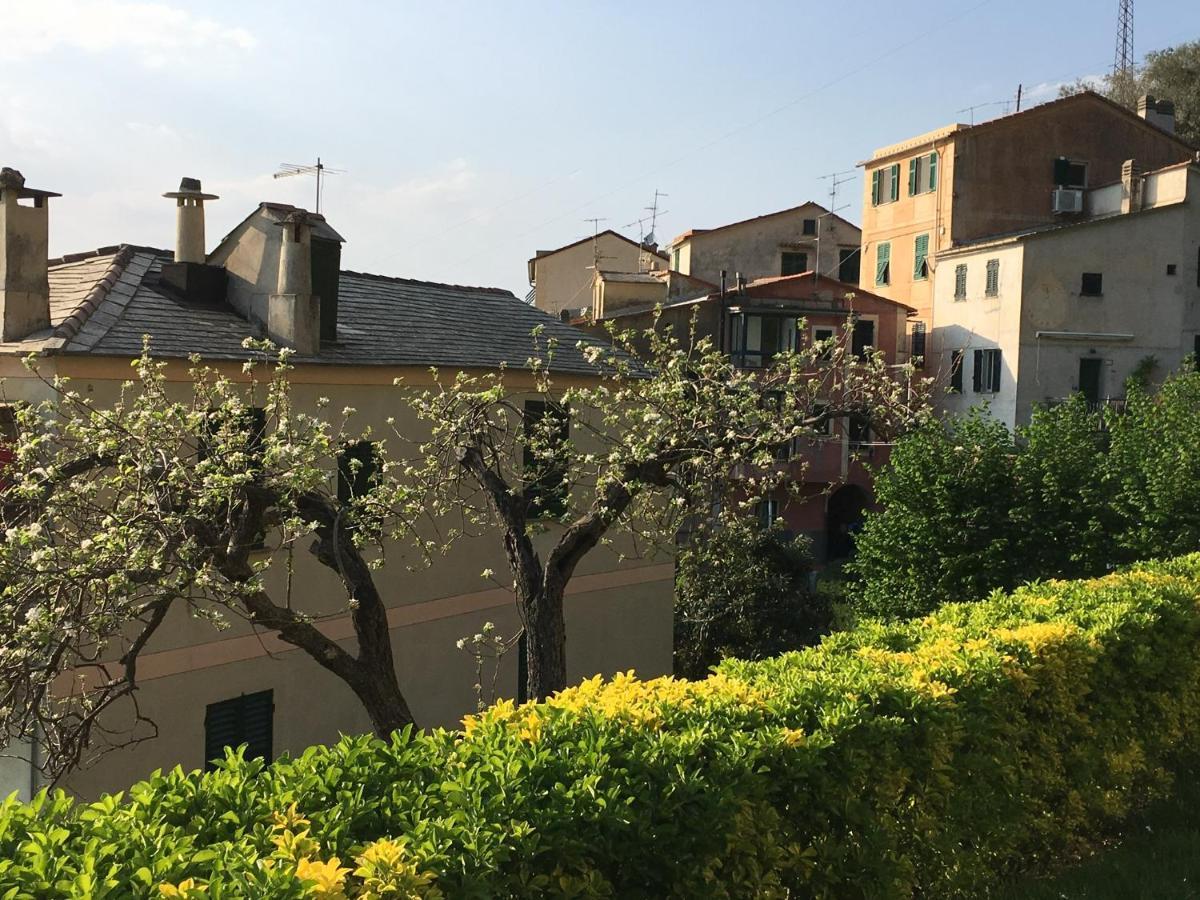 Villa Cielomare Camogli Exteriér fotografie