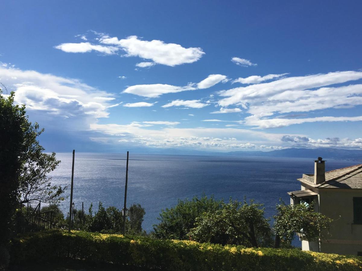 Villa Cielomare Camogli Exteriér fotografie